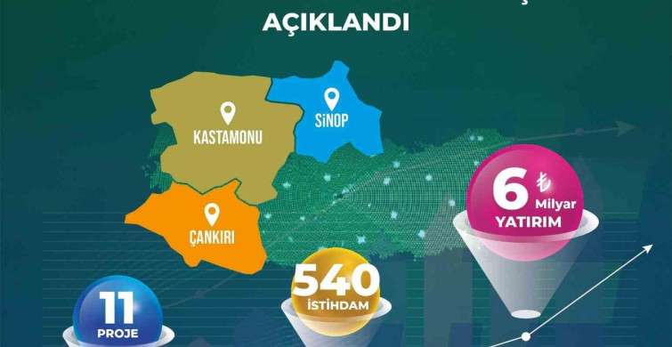 Yerel kalkınma hamlesi teşvik programı sonuçları açıklandı