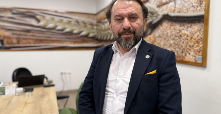 Yerli Ayçiçeği Tohumunda Devlet Desteği ile Dışa Bağımlılık Azalıyor