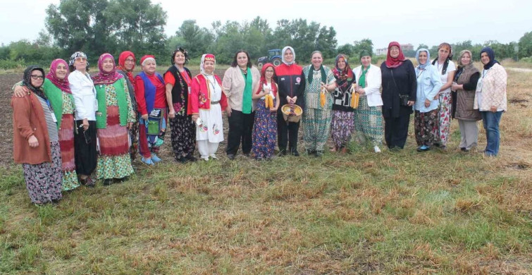 Yerli mısır tohumları toprakla buluştu