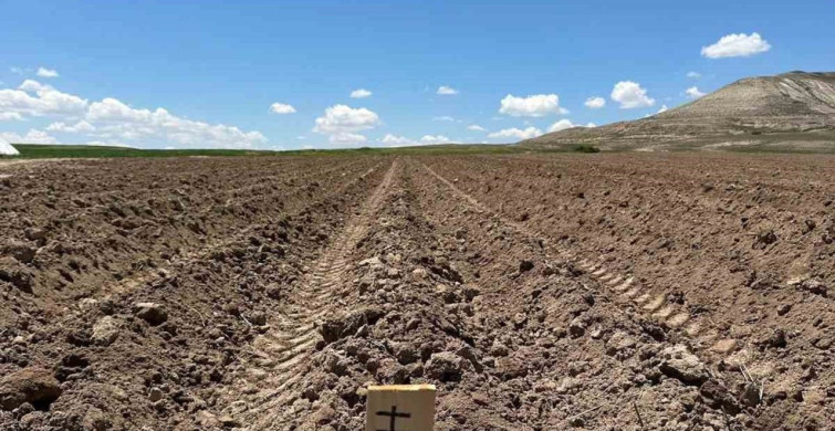 Yerli Patates Tohumları Niğşah ve Saruhan'ın Dikimi Tamamlandı