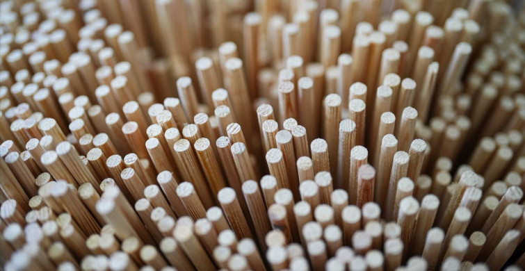 Yerli Üretim Geleneksel Ok Çubukları Dünya Pazarında