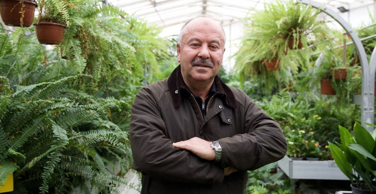 Yerli Üretim Rulo Çim, İthalatı Bitirerek Maliyetleri Düşürüyor