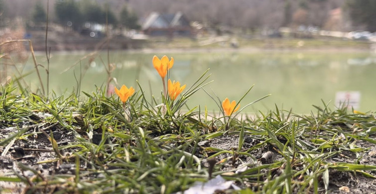 Yeşil Göl Baharda Çiçek Açtı