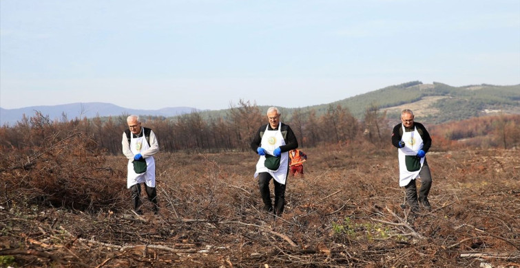 Yeşil Vatan İçin Fidan Dikimi