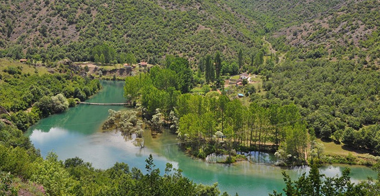 Yeşilırmak'ta Balık Ölümleri!