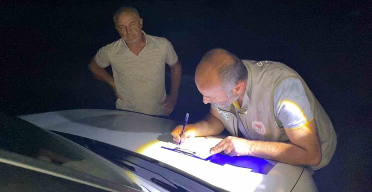 Yıldırım, İnegöl'deki Küçükbaş Sürüye Isabet Etti