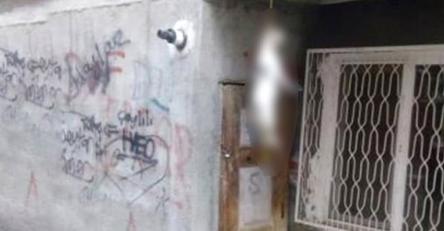 Yine Hayvan Vahşeti! Kediyi İpe Asarak Öldürdüler