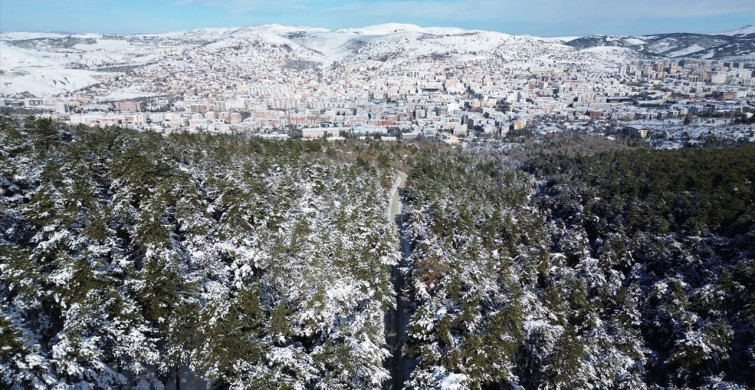 Yozgat Çamlığı Milli Parkı Beyaza Büründü