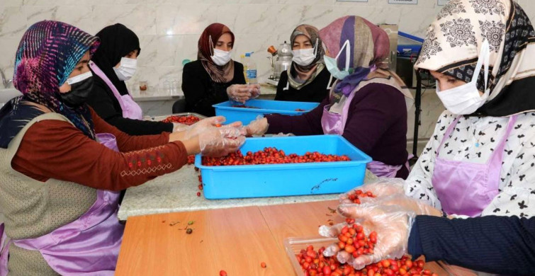 Yozgatlı Kadınlar Hem Üretiyor Hem Bütçelerine Katkı Sağlıyor
