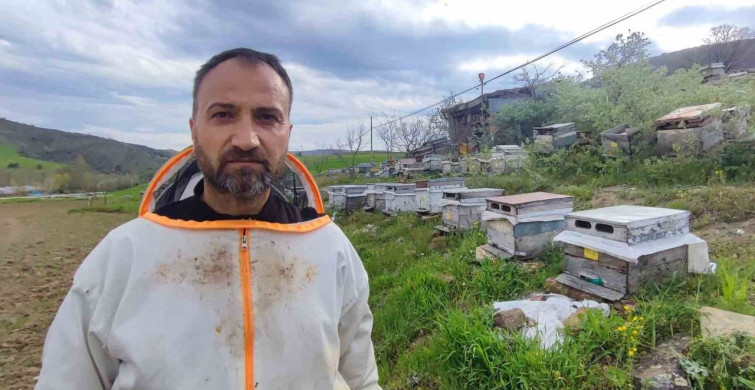 Yozgat'ta Arıcılıkla Geleceği Şekillendiren Çelebi Çağlar