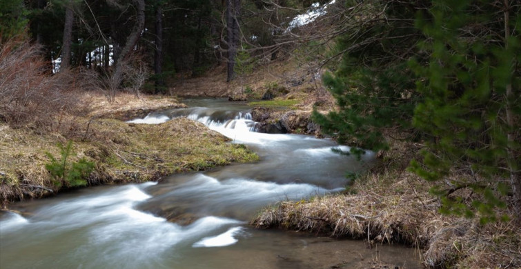 Yozgat'ta Baharın Renkleri Çiçek Açtı