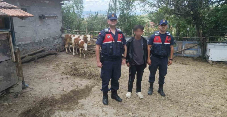 Yozgat'ta kaybolan hayvanlara jandarmadan yardım