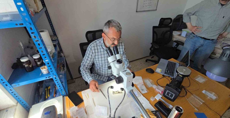 Yozgat’ta Kerkenes Harabeleri'nde antik kazı çalışmaları sürüyor