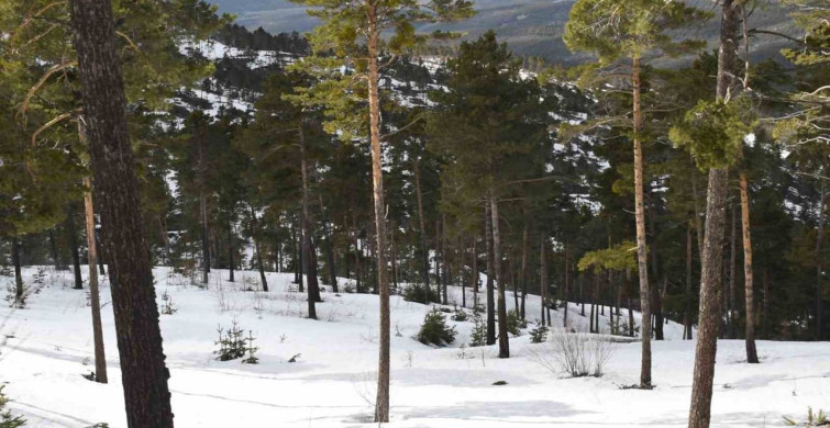 Yozgat'ta Kış ve Bahar Bir Arada