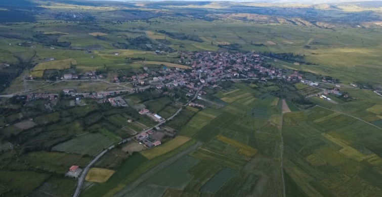 Yozgat'ta nadasa bırakılan tarlalar, mor çiçeklerle kaplandı