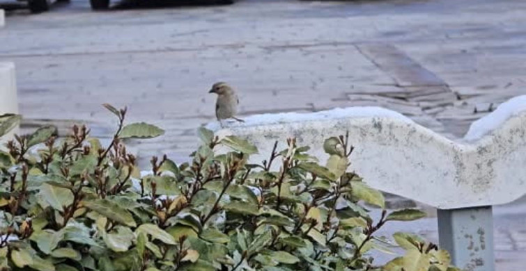 Yozgat’ta Nisan Ayında Kar Sürprizi