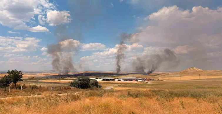 Yozgat'ta örtü yangını tarım arazilerine sıçradı