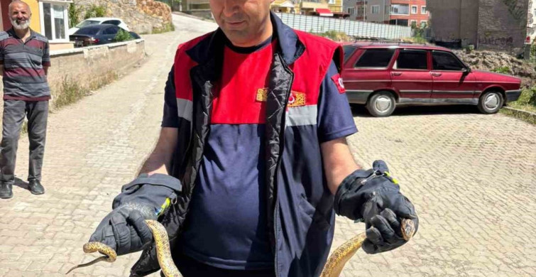 Yozgat'ta otomobilin motoruna giren yılan itfaiye ekiplerince çıkarıldı