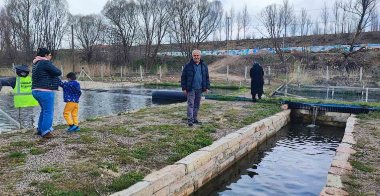 Yozgat'ta Taze Alabalık Keyfi