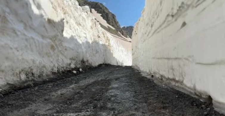 Yüksekova'da 8 metrelik kar tünelleri açıldı