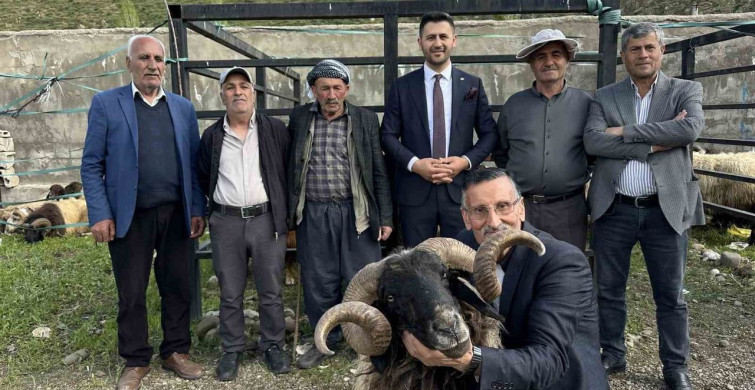 Yüksekova'da Kurban Bayramı Hareketliliği