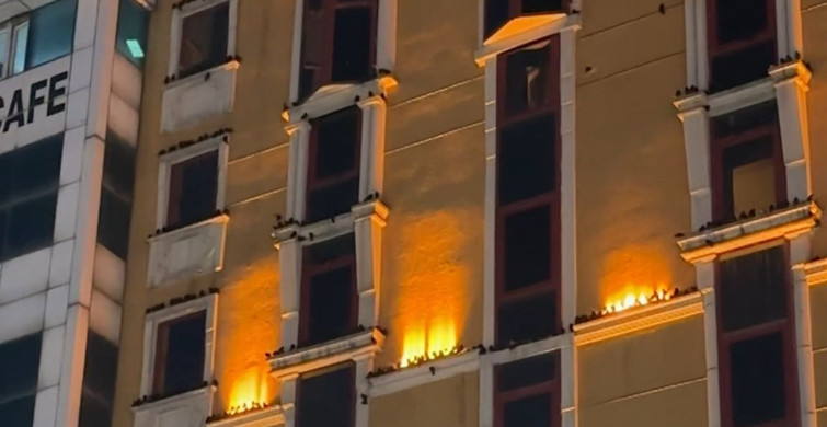 Yüksekova’da Sığırcık Kuşlarının Şaşırtıcı Göçü