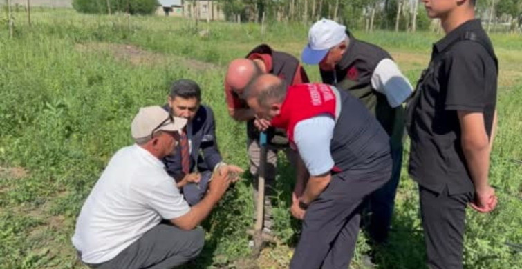 Yüksekova'da tarımda yeni dönem: Yoncalı köyünde ilk ticari salep hasadı yapıldı