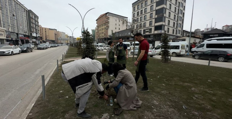 Yüksekovalı Girişimci Kadın Fidan Dikerek Çevreye Dikkat Çekti