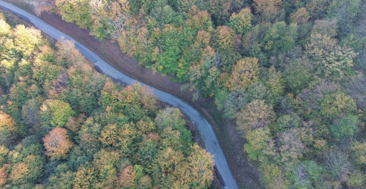 Yunt Dağı Sonbahar Renklerine Büründü