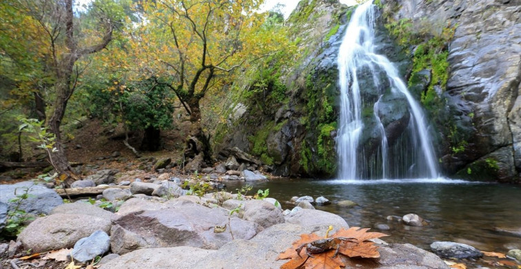 Yunt Dağları'nda Sonbahar Renk Cümbüşü