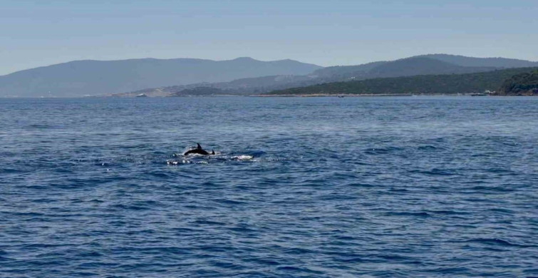 Yunuslar Muğla Valisi Akbıyık'ı Selamladı