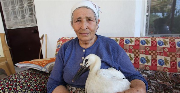 Yuvadan Düşmüş Leyleğe Çocuğu Gibi Baktı