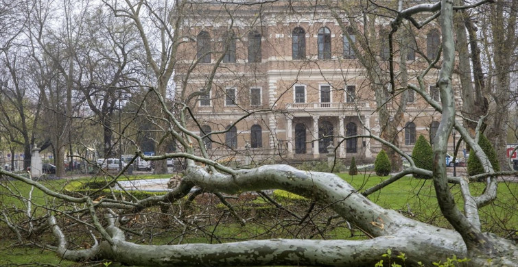 Zagreb'de Şiddetli Fırtına Okulları Tatil Etti