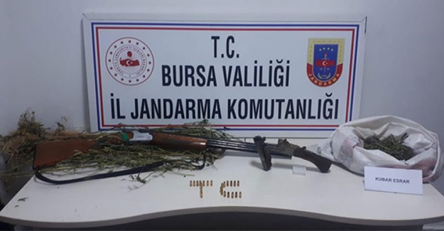 Zehir Tacirleri Jandarmadan Kaçamadı