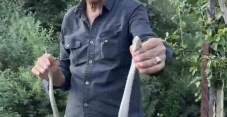 Zehirli engerek yılanını yakalayan vatandaş: 'Benim yaptığımı yapmayın'