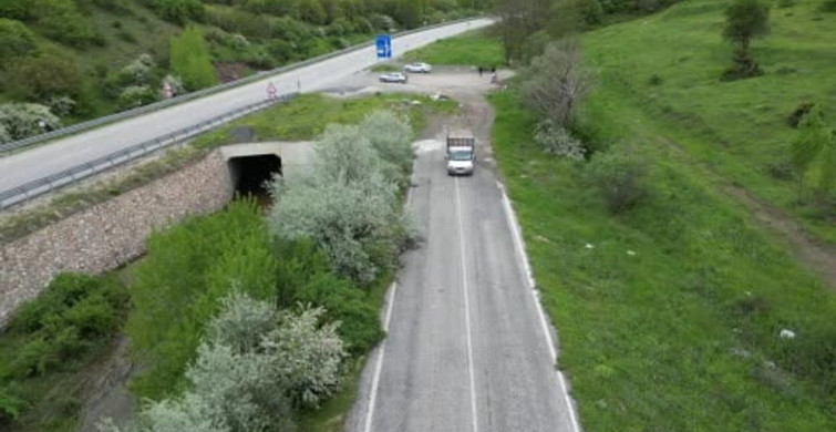 Zeki Karakaya'nın Hayvanlara Destek Projesi