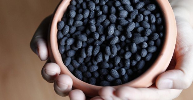 Zeytin Çekirdeği Mide Yanmalarına İyi Geliyor! Zeytin Çekirdeği Yutulursa Ne Olur?
