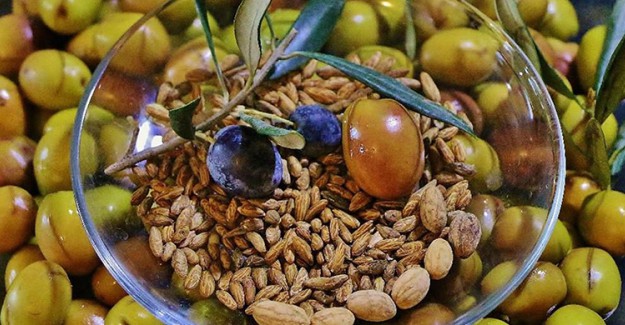 Zeytin Çekirdeği Yutmak Zararlı mı? Zeytin Çekirdeği Mideyi Yorar mı?
