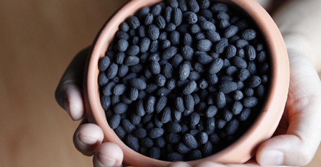 Zeytin Çekirdeği Yutmak