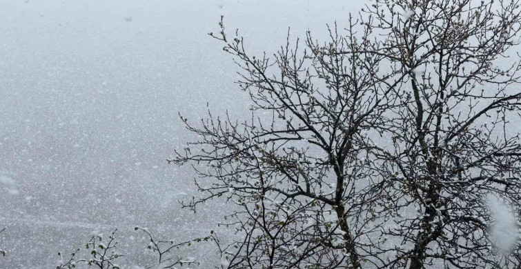 Zigana Dağı'nda Nisan Ortasında Kar Yağışı