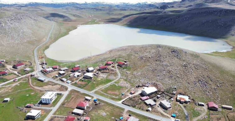 Zirin Gölü'nde Yeniden Doğal Hayat