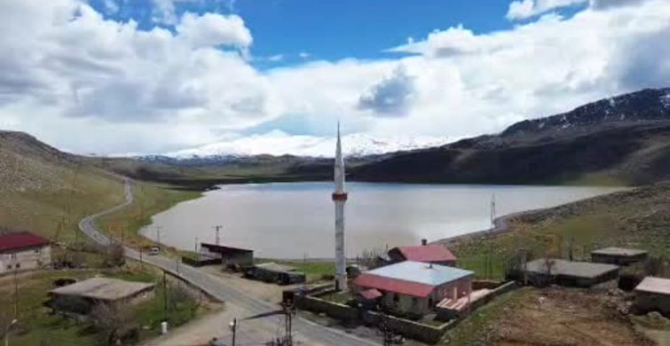 Zirin Gölü'nde Yeniden Doğal Hayat