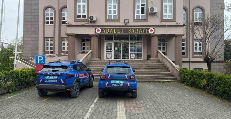 Zonguldak'ta evde kenevir yetiştiren iki şüpheli yakalandı