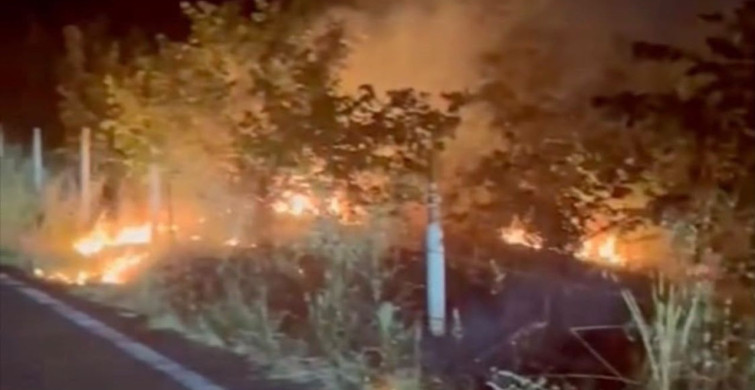 Zonguldak’ta fındık bahçelerinde çıkan yangınlar söndürüldü