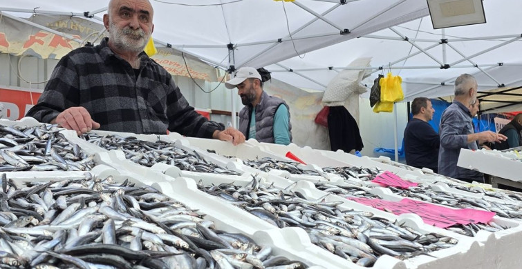 Zonguldak'ta Hamsi Bolluğu: Balık Tezgahlarında Fiyatlar Düşüyor