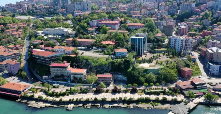 Zonguldak'ta Hane Halkı Büyüklüğü ve Akraba Evlilikleri Raporu