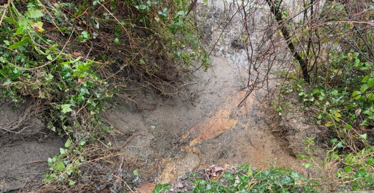 Zonguldak'ta Heyelan Nedeniyle Merdiven Kullanıma Kapandı