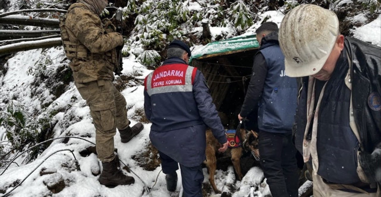 Zonguldak'ta Ruhsatsız Maden Ocakları Kapatıldı
