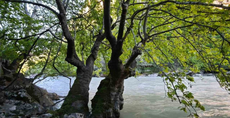 Zore Kanyonu ve Şelalesi: Doğanın Gizli Cenneti