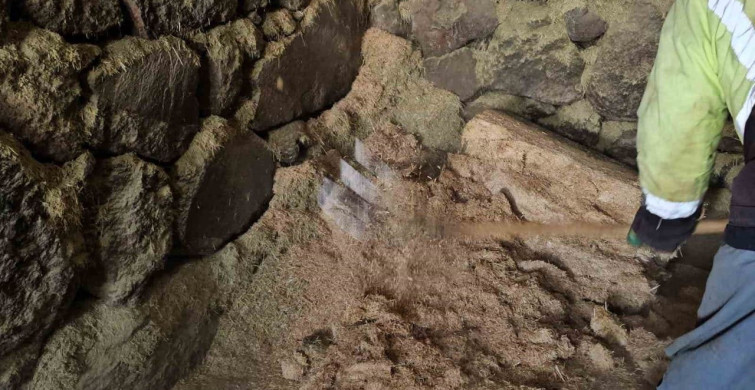 Zorlu Hava Şartlarında Hayvancılık: Kışkılı Köyü'nde Yaşam